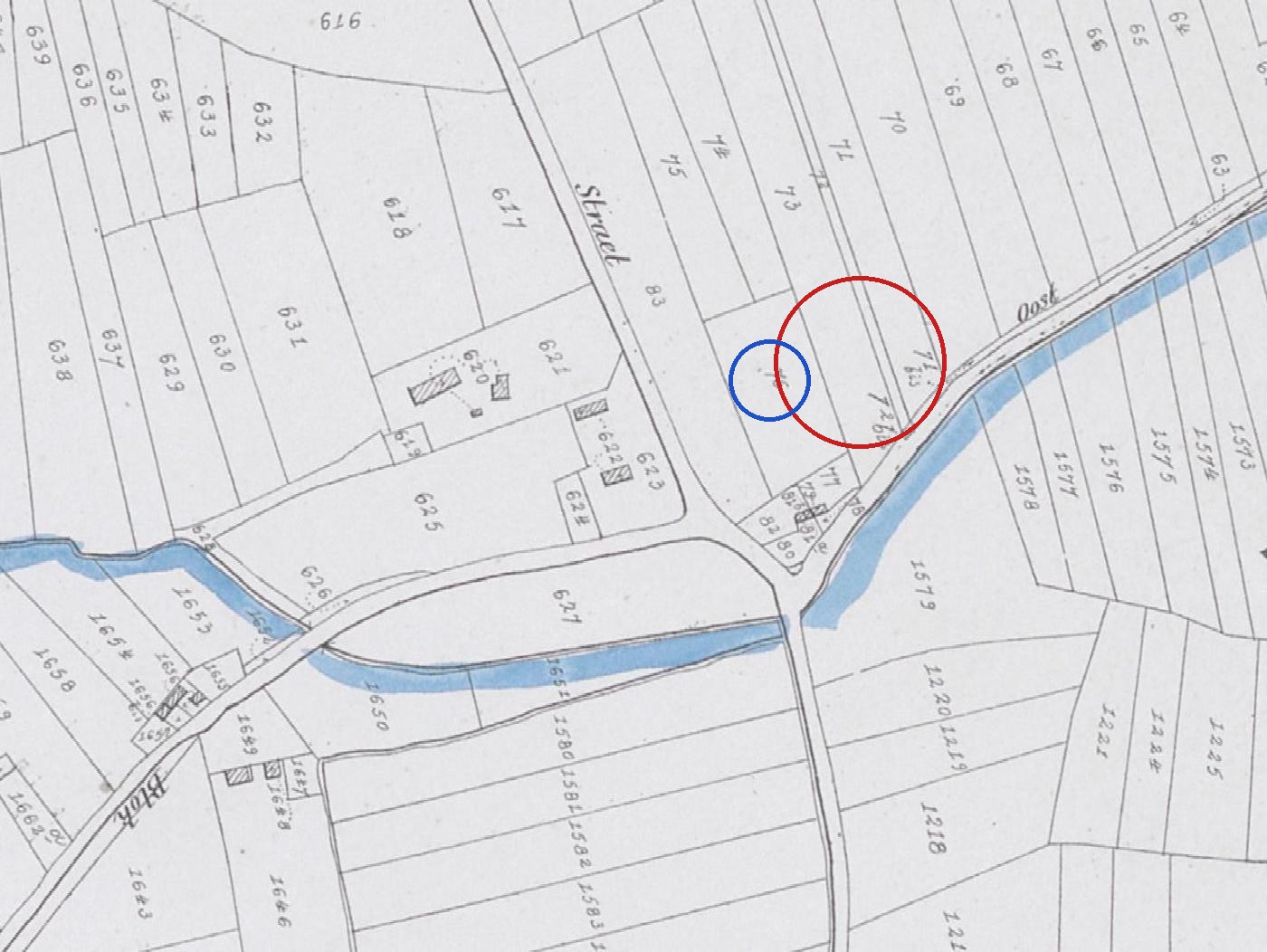 Sectie J van het kadaster van Bassevelde op de Popp-kaart, bij de kruising aan het kanaal waar de huidige straat Landsdijk loopt. Rode ring: de percelen 72 en 72bis, de waarschijnlijke plek van 'sectie J nummer 72', waar Amelia Saey in 1848 werd geboren. Blauwe ring: perceel 76, 'sectie J nummer 76', waar in hetzelfde jaar de buurman, landarbeider Jacobus van Waes, woonde. De ringen zijn door ons toegevoegd.